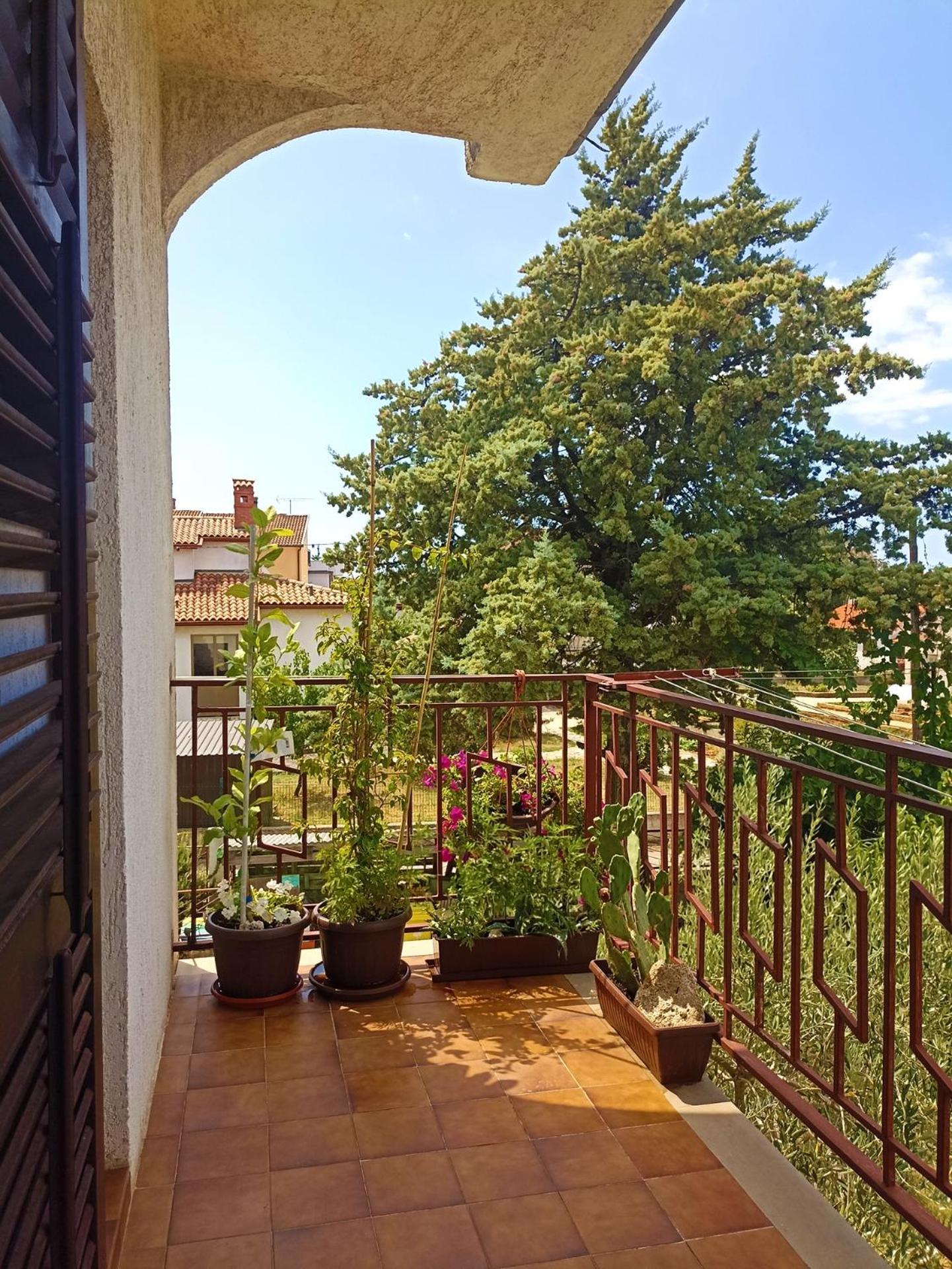 Apartments Villa Laura Pula Extérieur photo