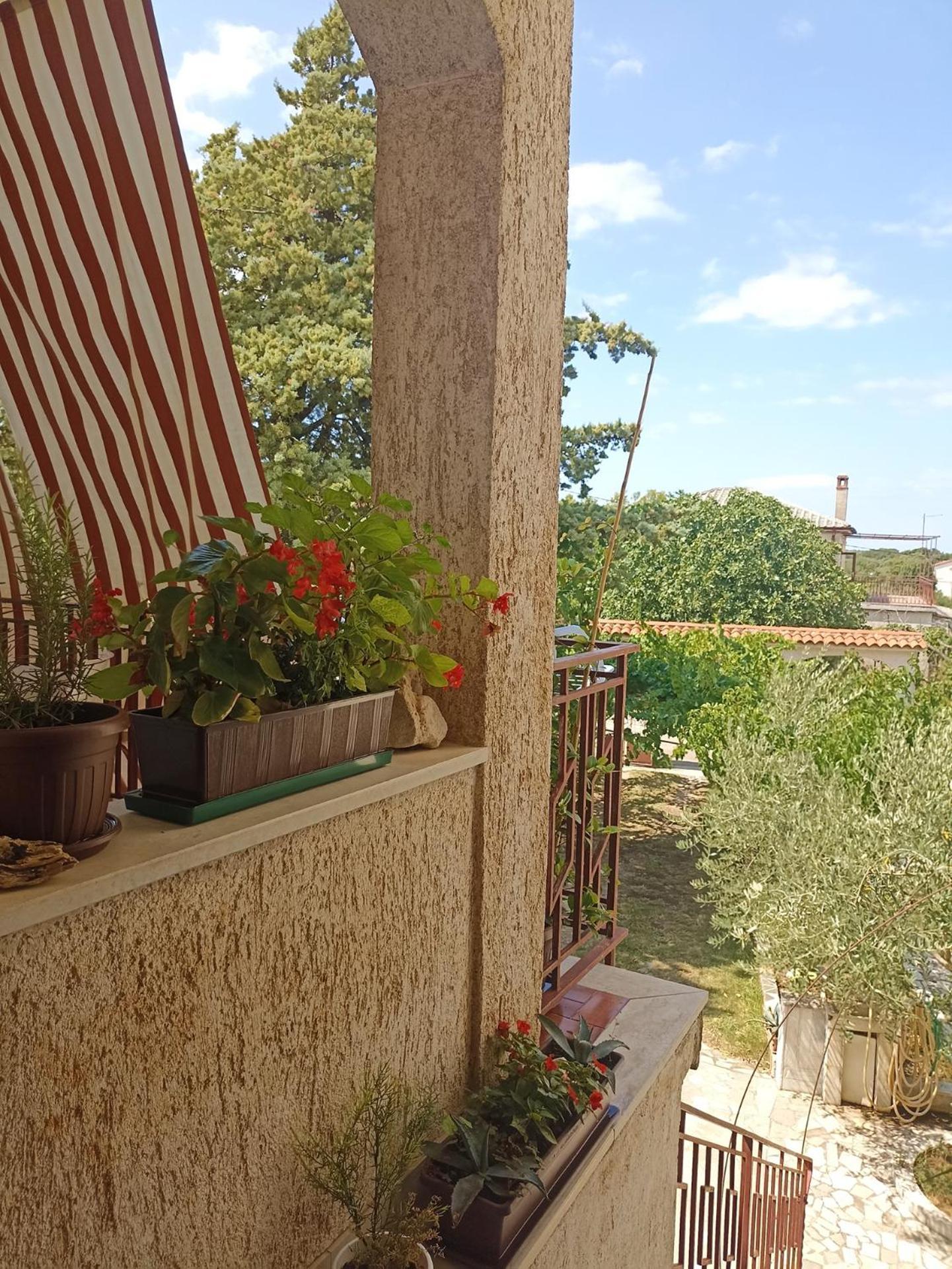 Apartments Villa Laura Pula Extérieur photo