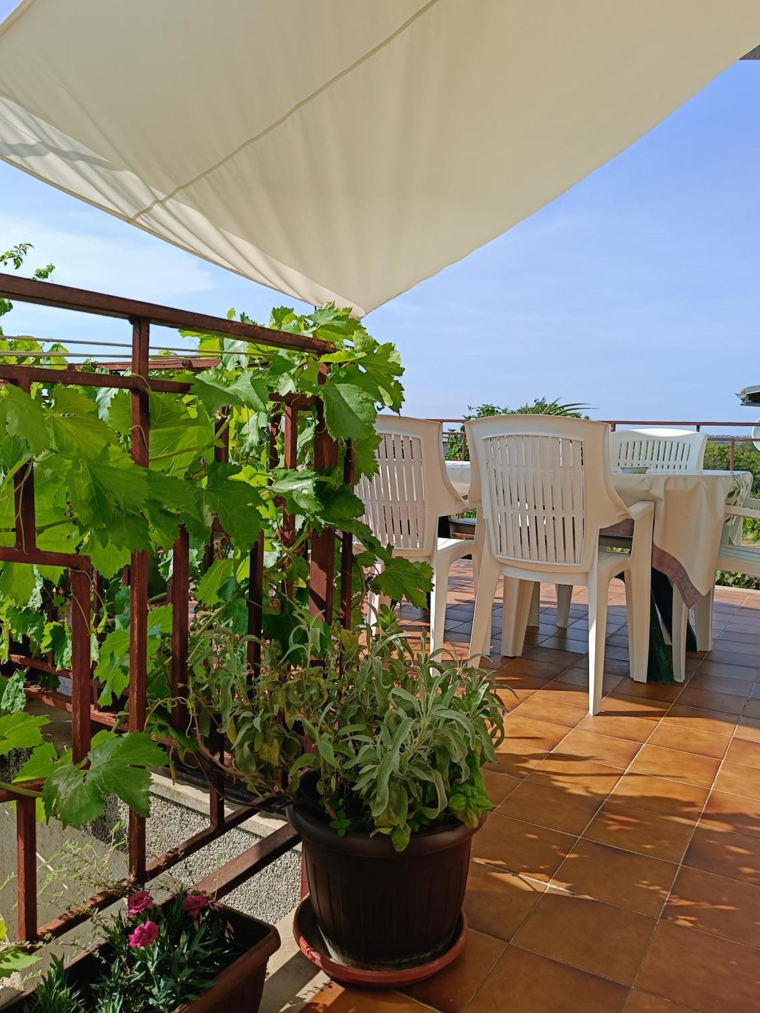 Apartments Villa Laura Pula Extérieur photo